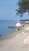 Waterfront